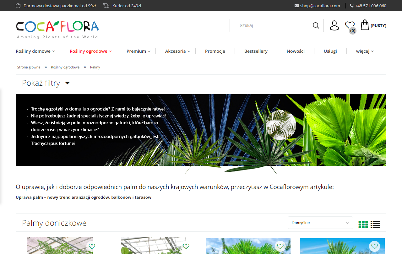 Palmy doniczkowe - które gatunki sprawdzą się w mieszkaniu?