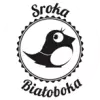Sroka Białoboka